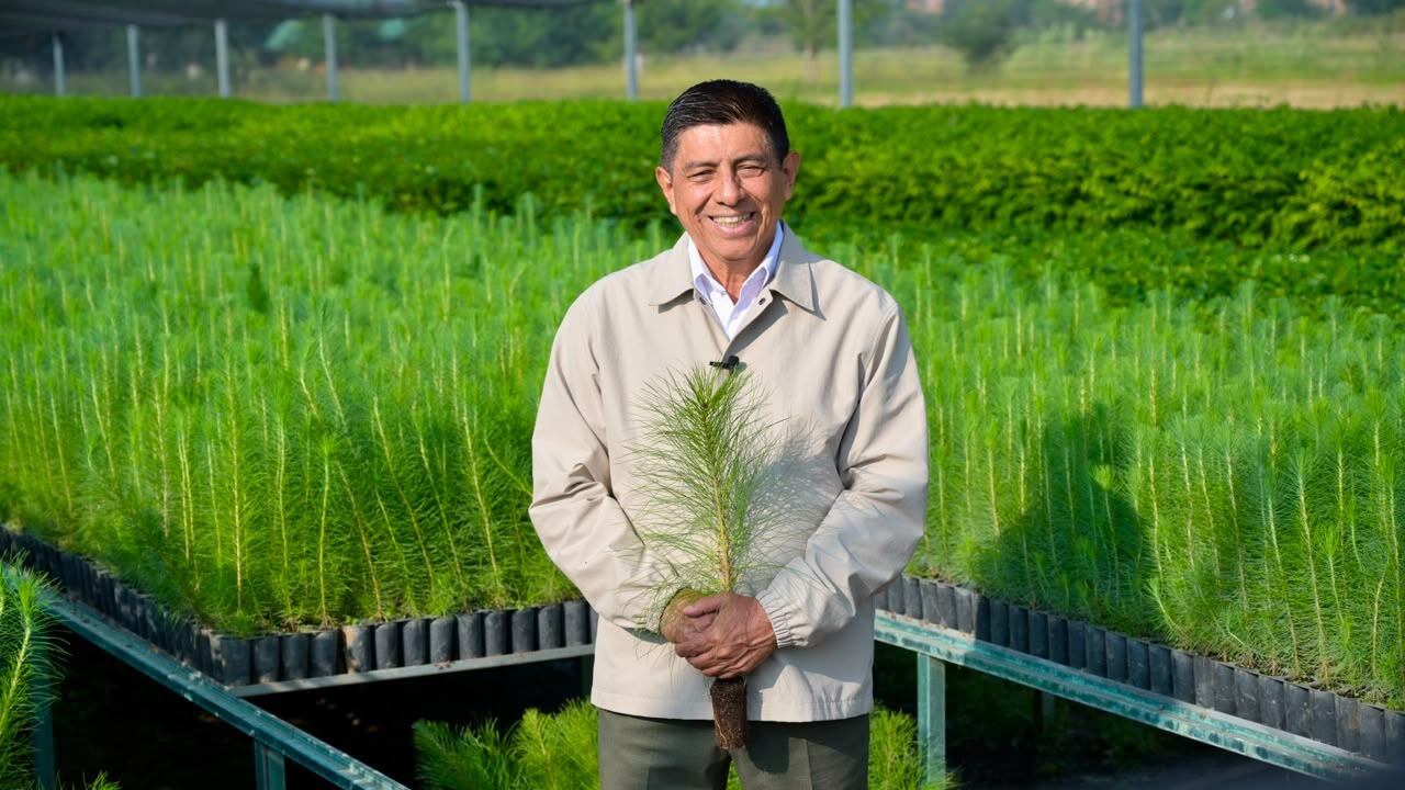 Salomón Jara se suma a la Jornada Nacional de Reforestación 2026