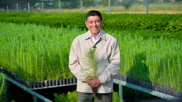 Oaxaca participará en la Jornada Nacional de Reforestación con 17 millones de plantas.
