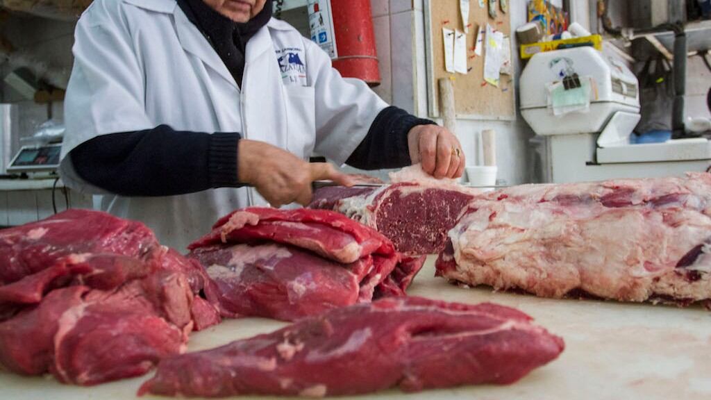 Carne de res