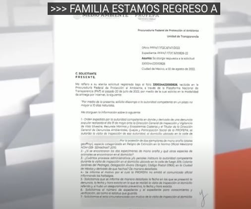 Belinda tenía un ave en peligro de extinción en su casa