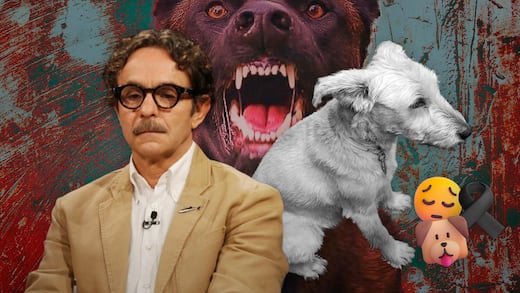 Gabriel Quadri denuncia la muerte de su perro tras un ataque