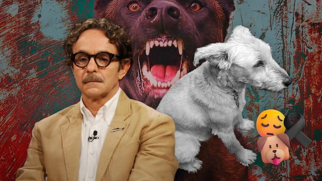 Gabriel Quadri denuncia la muerte de su perro tras un ataque