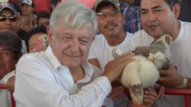 AMLO