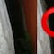 VIDEO: Lo que vio en su patio, hasta convenció a TikTok de no salir por la noche