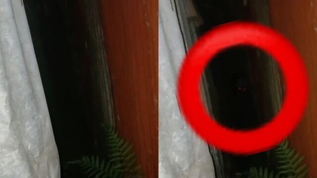 convenció a TikTok de no salir