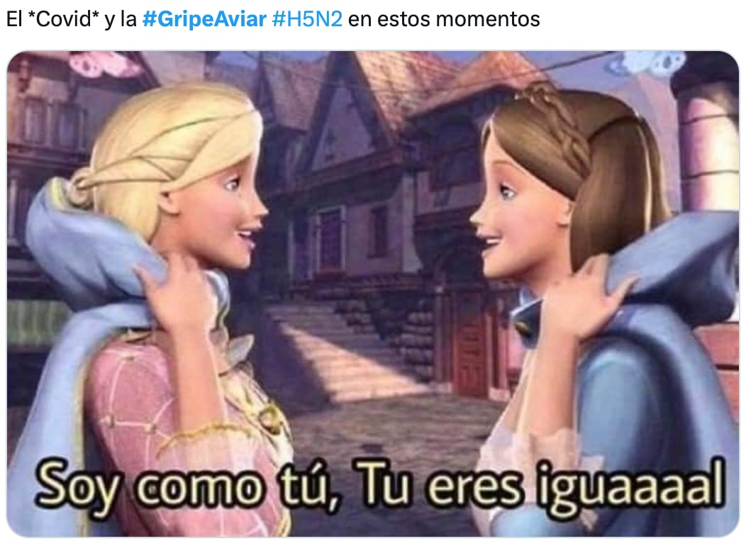 Los memes paranoicos de la gripe aviar en México