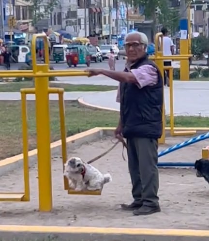 Lleva a su perrito a los columpios