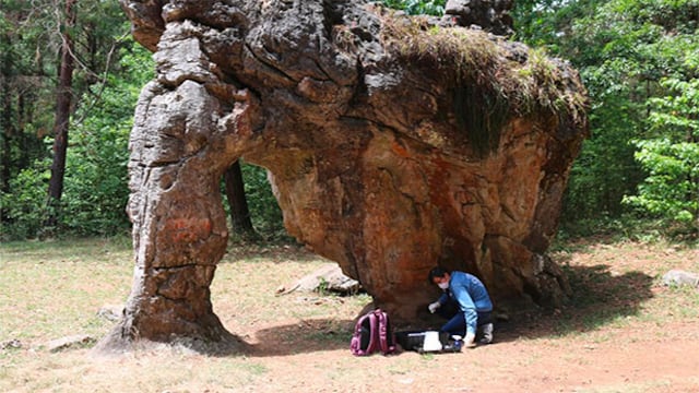 Técnicos del Instituto Nacional de Antropología e Historia evaluaron los daños cometidos contra la Piedra del Elefante, ubicada en la Reserva de la Biósfera.