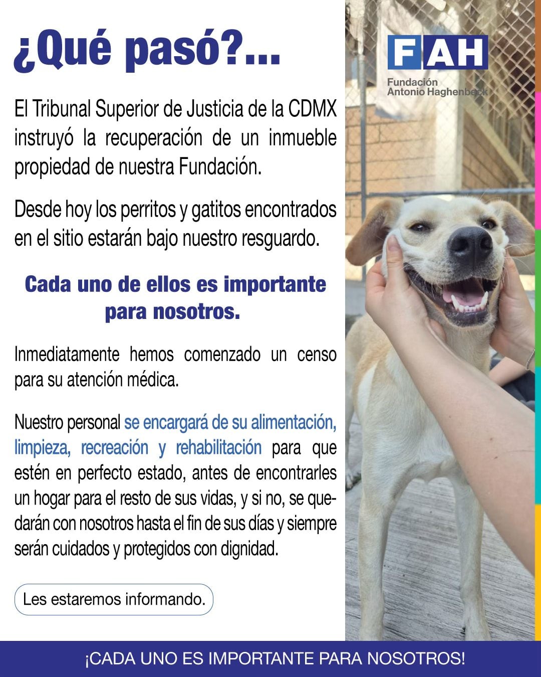 Refugio Franciscano denuncia desalojo que pone en riesgo a más de mil animales rescatados