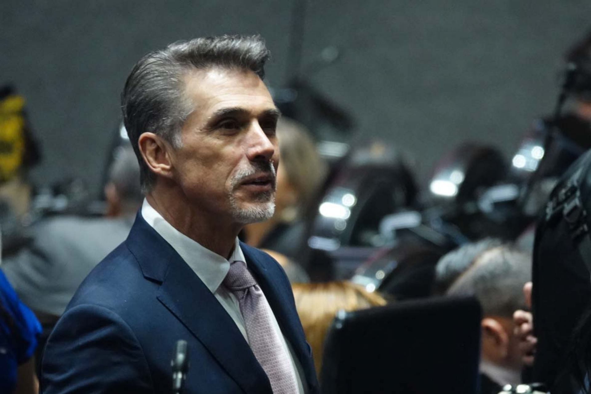 Sergio Mayer, actor.