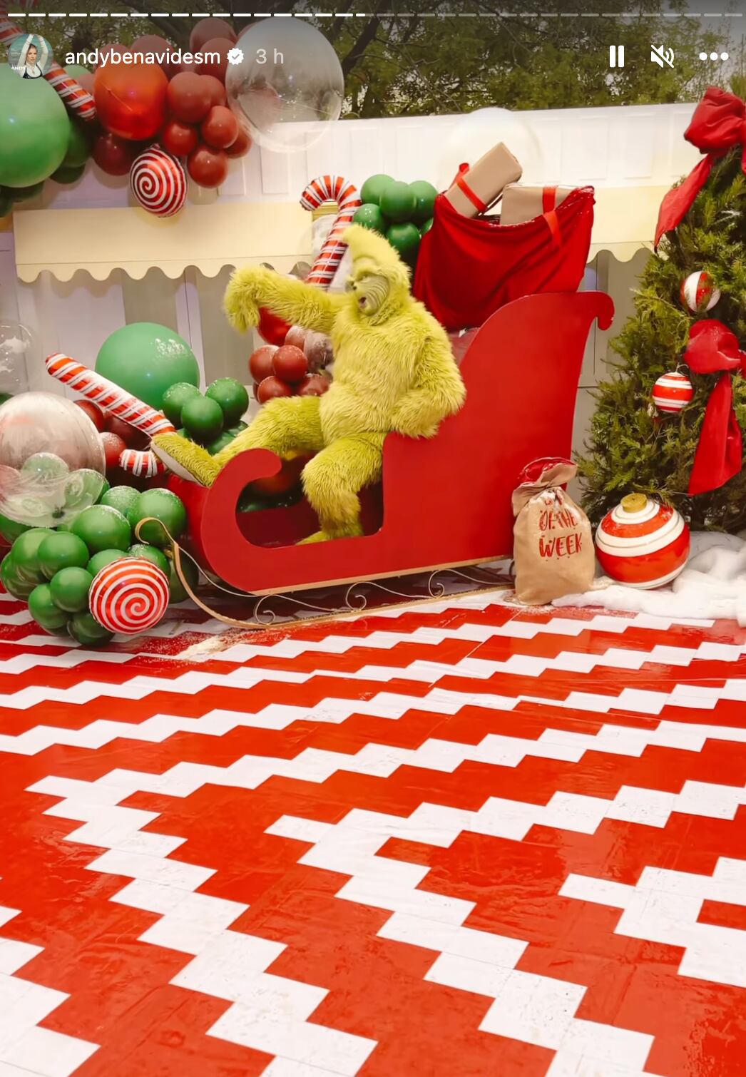 Fiesta de El Grinch de Andy Benavides