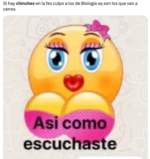 Plaga de chinches de la UNAM en CDMX desata los memes ansiosos de usuarios