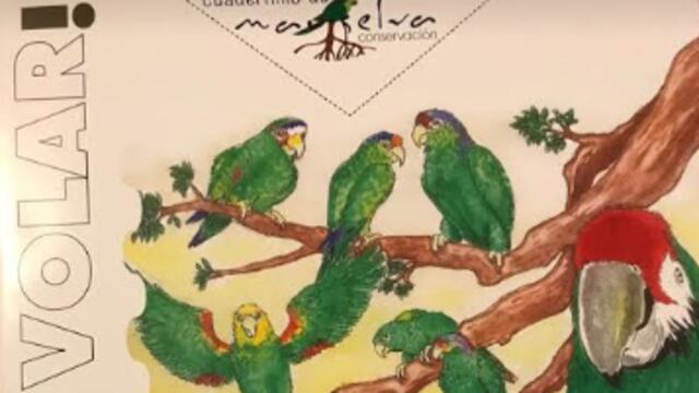 La llamada nueva narrativa de la Cuarta Transformación y el anuncio del fin del neoliberalismo como doctrina política y económica, por otro lado, no está siendo bien platicada ni bien aterrizada para que los ciudadanos entremos a su discusión y su participación.