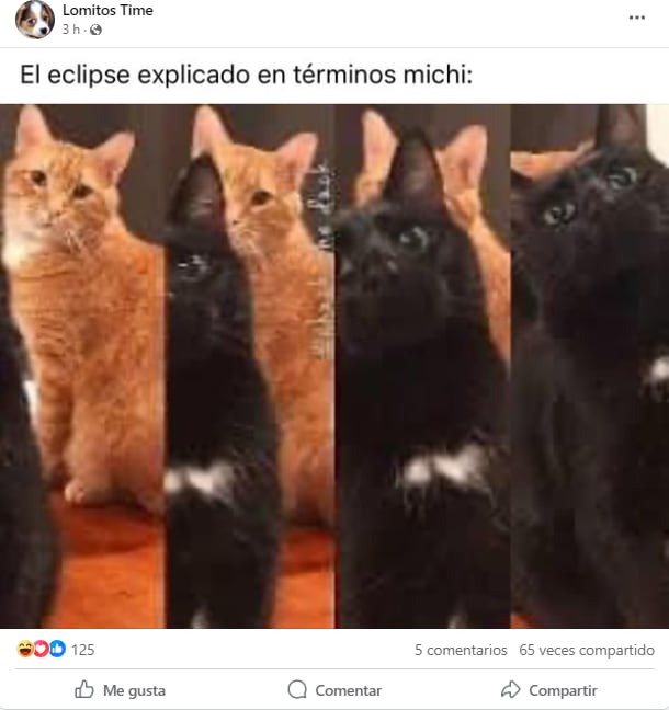 Memes del eclipse solar 2024 en México