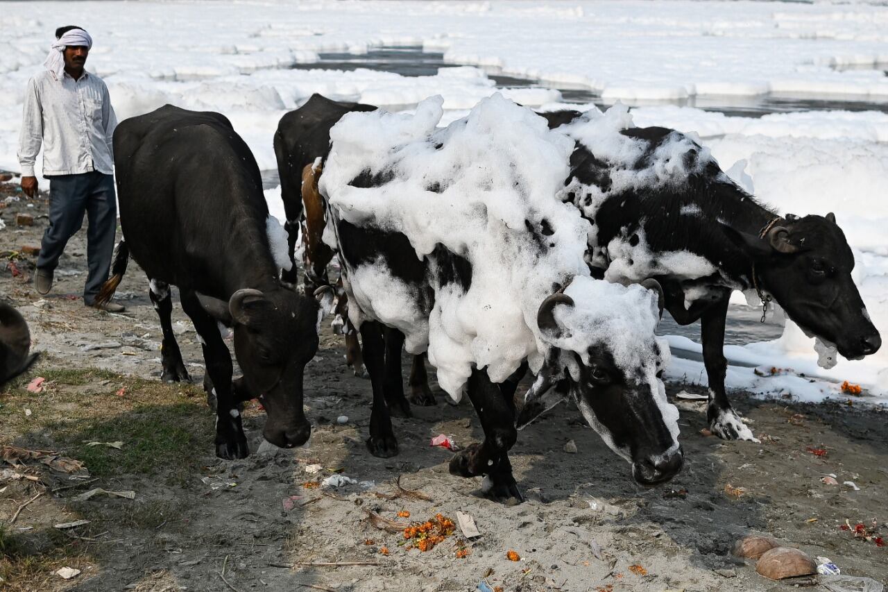 Río Yamuna, India