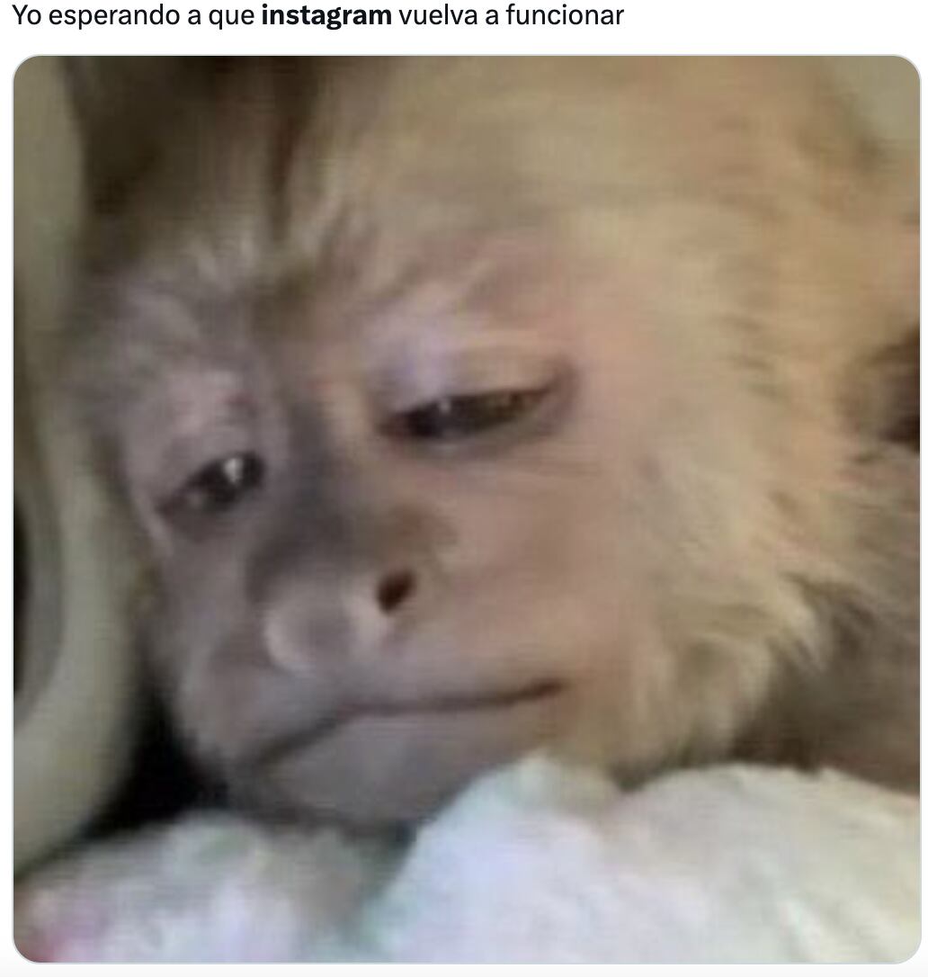 Memes de la caída de Instagram