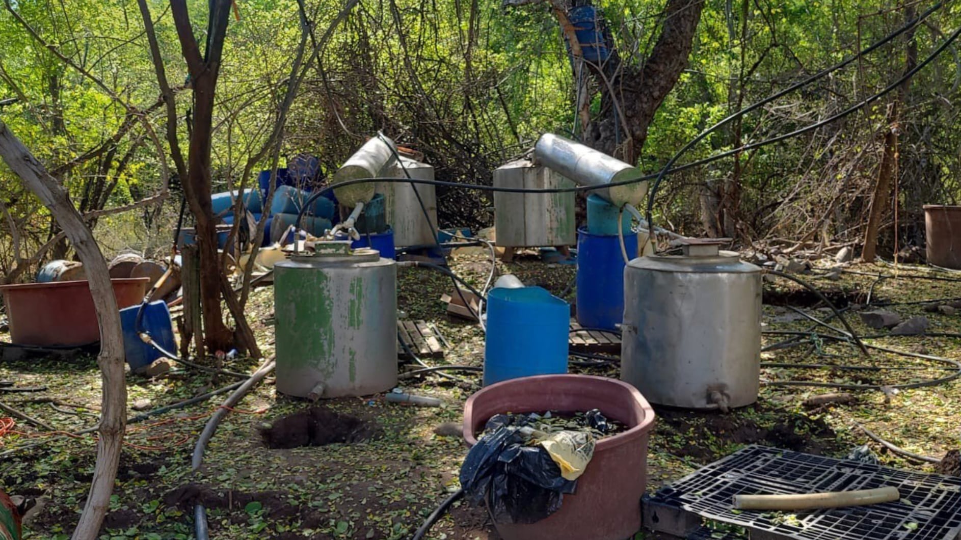 Inhabilitan laboratorio clandestino de drogas sintéticas en Elota, Sinaloa; aseguran precursores y equipo