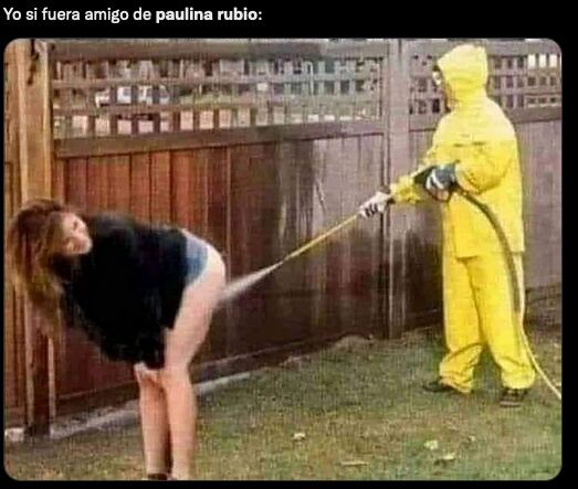 Meme de Paulina Rubio 'defecando' en la playa.