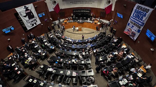 Cámara de Senadores aprobó la Ley de Seguridad Pública