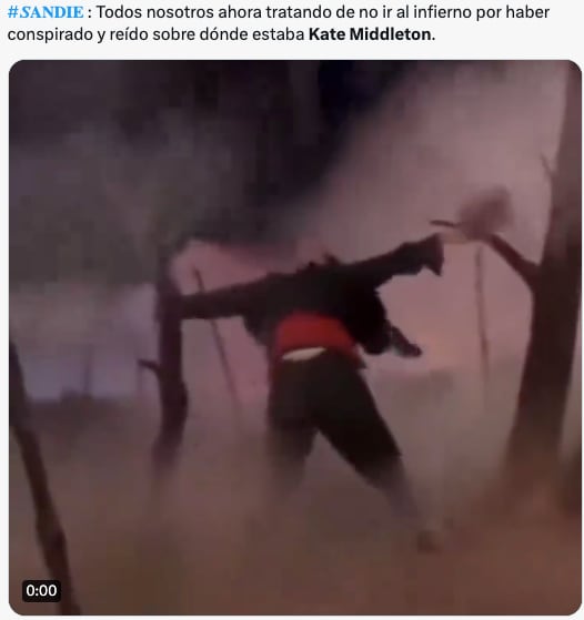 Memes arrepentidos le piden perdón a Kate Middleton