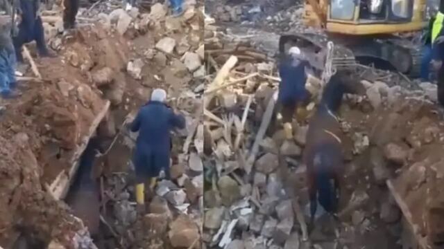 Encuentran a caballo bajo los escombros