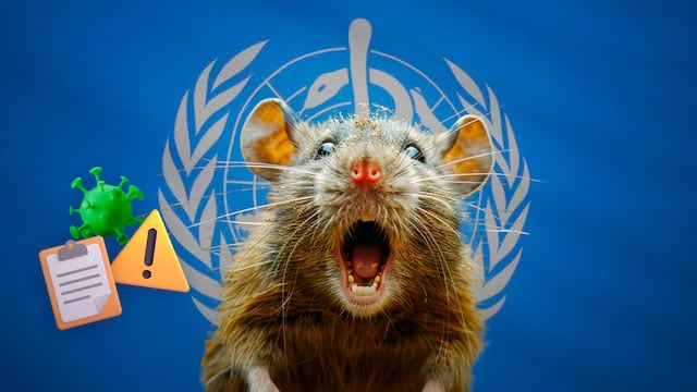 OMS / Hantavirus