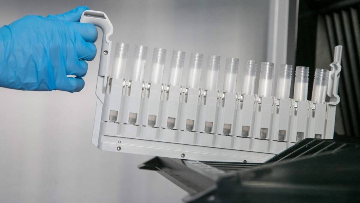 ¿Qué es Revumenib? La pastilla experimental que ha logrado remisión completa en pacientes con leucemia