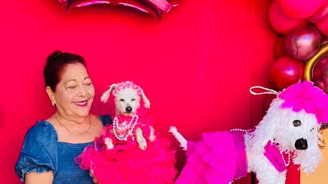 XV años a perrita Dory