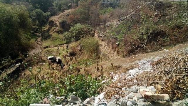 Confunden gritos de una chiva con una mujer en Tlaxcala