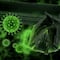¿El coronavirus se terminó? Khosta-2, el nuevo virus encontrado en murciélagos de Rusia