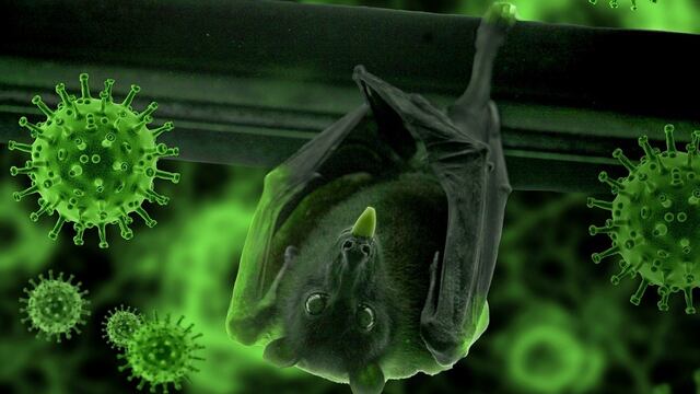 ¿El coronavirus se terminó? Khosta-2, el nuevo virus encontrado en murciélagos de Rusia