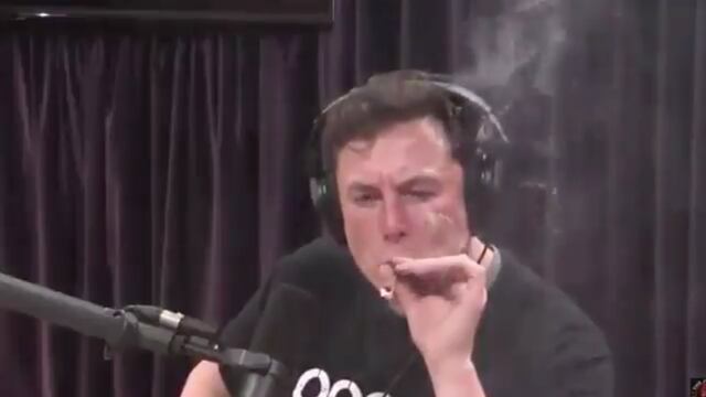 Elon Musk mariguana