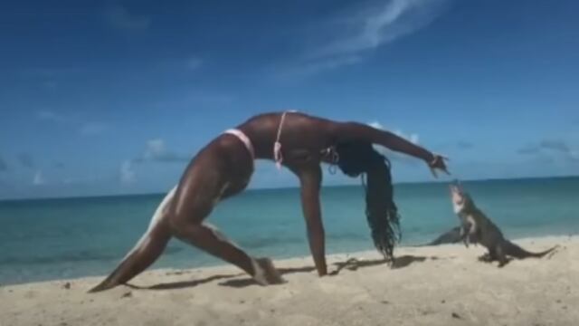Maestra de yoga es mordida por iguana.