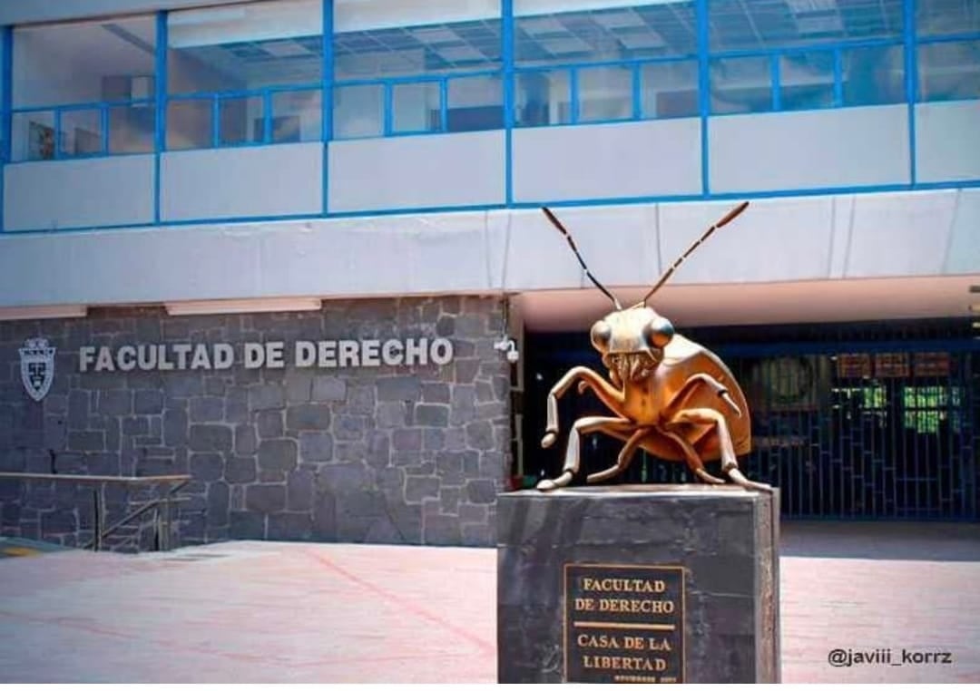 Se desata plaga de memes por chinches de la UNAM