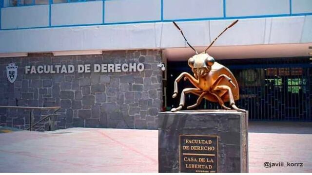 Se desata plaga de memes por chinches de la UNAM