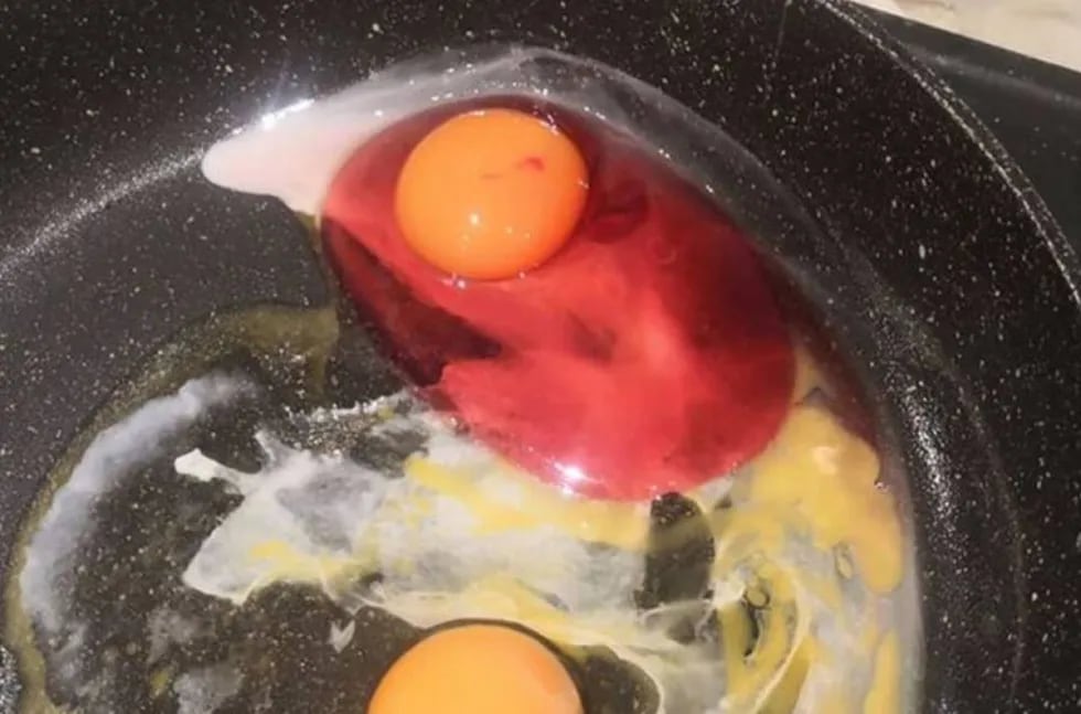 Huevo con clara roja