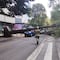 Se salvó de milagro: Árbol de Insurgentes y Georgia en la Nápoles aplastó su carro y vivió para contarlo