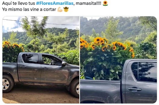 Los memes de las flores amarillas llegan este 21 de septiembre