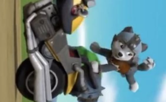 Fondo de Gasket de Paw Patrol