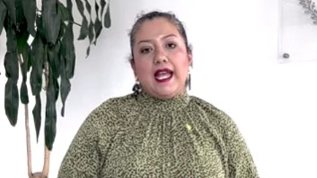 ¿Quién es Vania Pérez Morales? Presidente del comité ciudadano del Sistema Nacional Anticorrupción