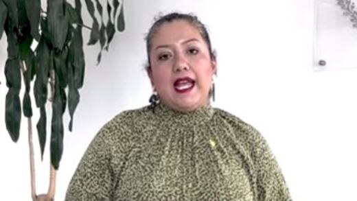 ¿Quién es Vania Pérez Morales? Presidente del comité ciudadano del Sistema Nacional Anticorrupción