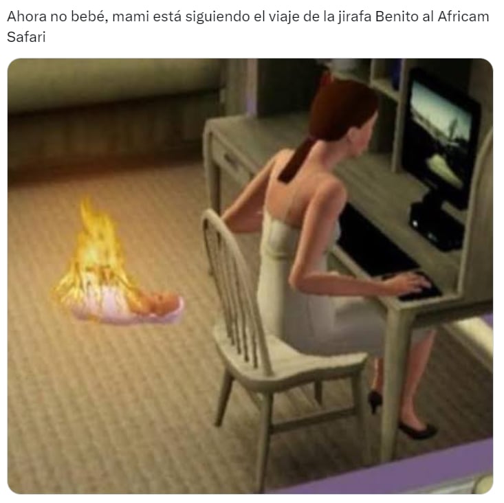 Memes de la Jirafa Benito