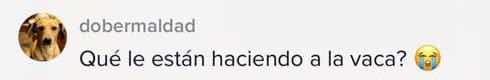 Comentario video de ronquido que no deja dormir