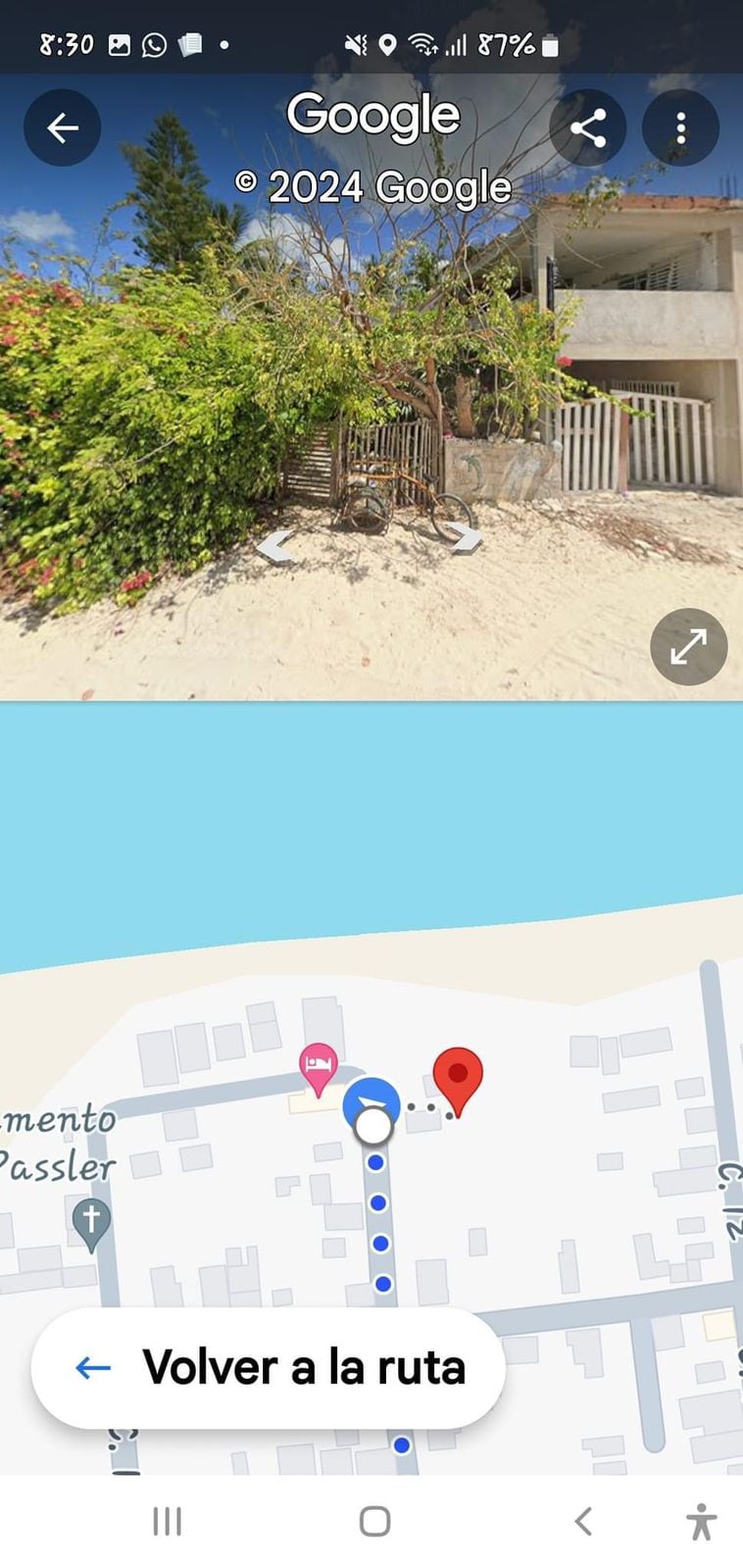 Denuncian que desalmado pisó la cabeza de dos gatitos: