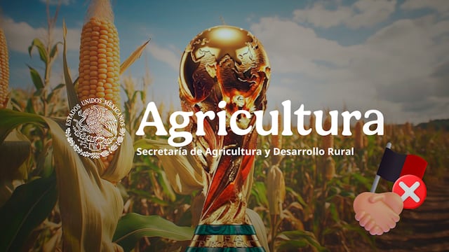 Productores de maíz y Sader negocian para evitar manifestación en el Mundial 2026.