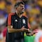 Club Tigres corre a Veljko Paunovic y pone a un jugador como nuevo entrenador
