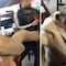 Alfredo Adame lanza patadas contra el abogado de Carlos Trejo (VIDEO)