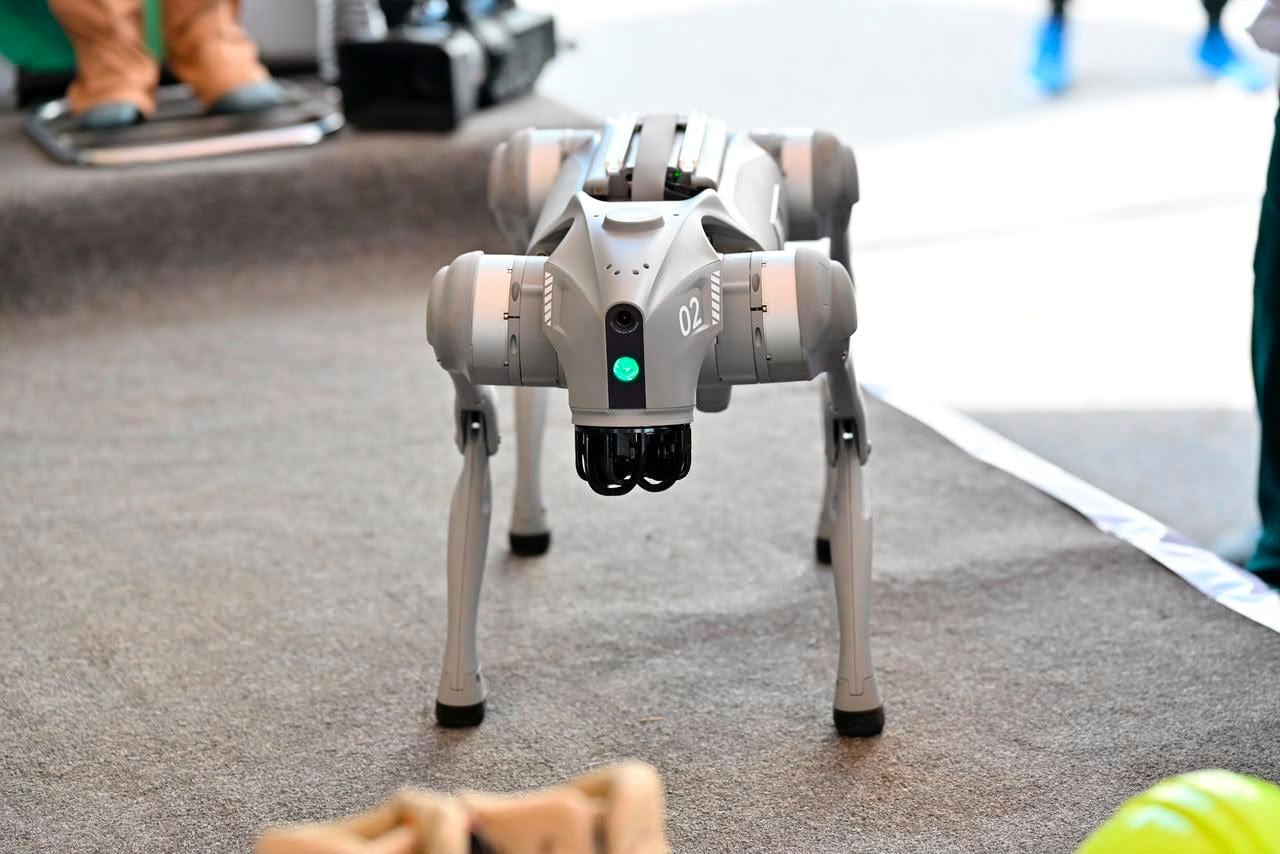 San Luis Potosí estrena perros robot con IA para vigilancia en la FENAPO 2026.