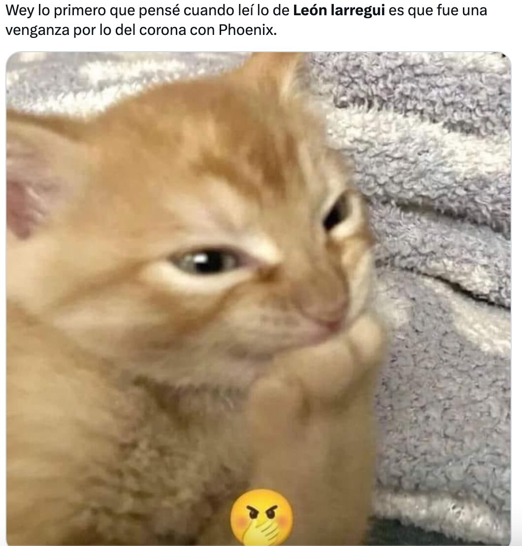 Memes de León Larregui golpeado en París