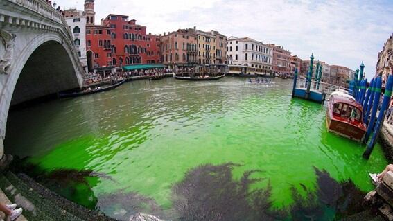 Gran Canal de Venecia se pinta de verde